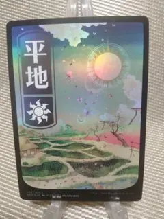 2026年最新】平地 フルアートの人気アイテム - メルカリ