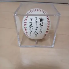 2026年最新】長嶋茂雄 サインボールの人気アイテム - メルカリ