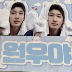 2026年最新】seventeen ウォヌ スローガンの人気アイテム - メルカリ