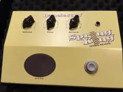 2026年最新】danelectro spring kingの人気アイテム - メルカリ