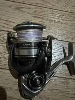 2026年最新】ダイワ カルディア LT5000D-CXHの人気アイテム - メルカリ