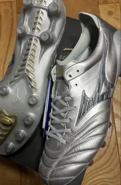 2026年最新】モレリアネオ4 シルバーの人気アイテム - メルカリ