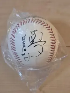 2026年最新】星野仙一 サインボールの人気アイテム - メルカリ