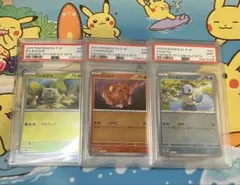 2026年最新】フシギダネ ヒトカゲ ゼニガメ psa10の人気アイテム