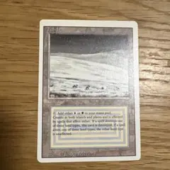 2026年最新】tundra mtgの人気アイテム - メルカリ