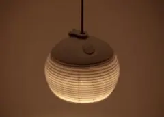 2026年最新】ほおずきシェードの人気アイテム - メルカリ