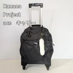 2026年最新】カナナ キャリーの人気アイテム - メルカリ