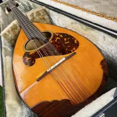 2026年最新】石川マンドリンの人気アイテム - メルカリ