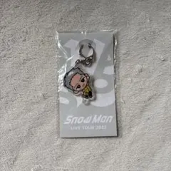 2026年最新】岩本照アクキーの人気アイテム - メルカリ