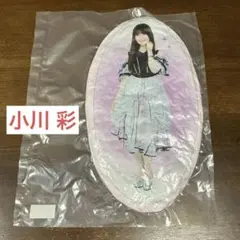 2026年最新】乃木坂46 福袋 クッションの人気アイテム - メルカリ