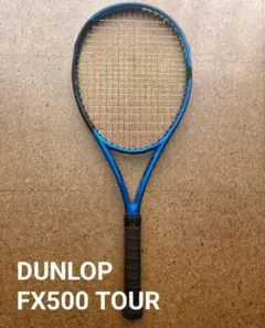 2026年最新】dunlop fx500の人気アイテム - メルカリ