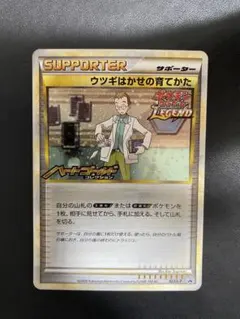 2026年最新】ポケモンカード ウツギはかせの育てかた 023/L-P プロモの