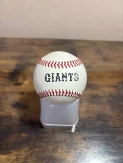 2026年最新】読売ジャイアンツ実使用の人気アイテム - メルカリ
