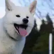 MICRO ACE オシャンアロー9両セット A-0768 A-0767 - メルカリ