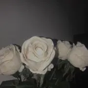 プロセカ 暁山瑞希 ミニ色紙 リボン 25C 特訓前 幼少期 - メルカリ