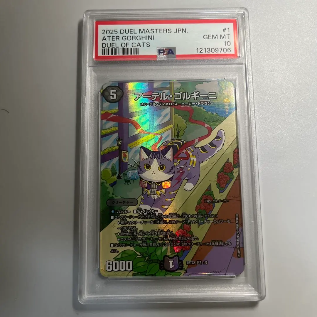 m10651372489_1.jpg?1771483769