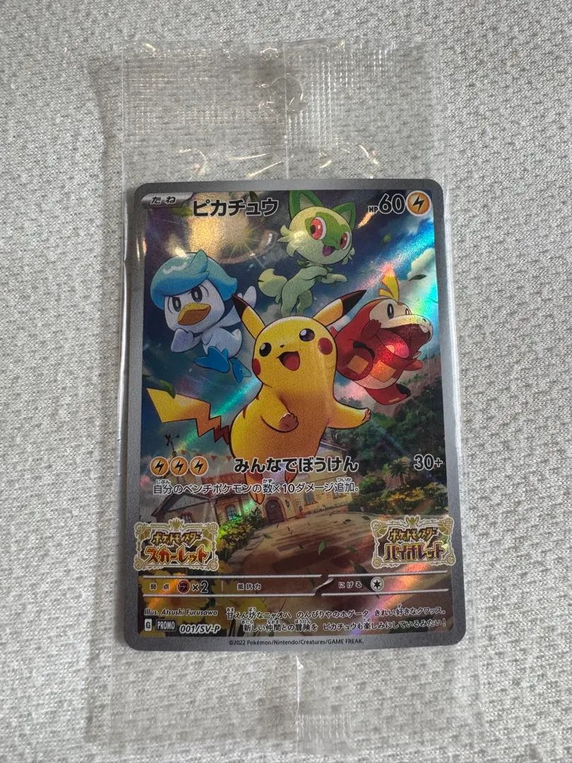 m10196152973_1.jpg?1769944291