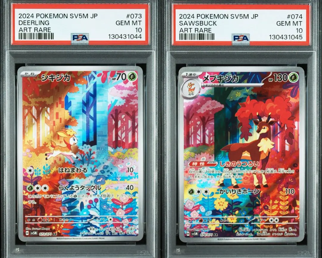 2026年最新】シキジカ ar psaの人気アイテム - メルカリ