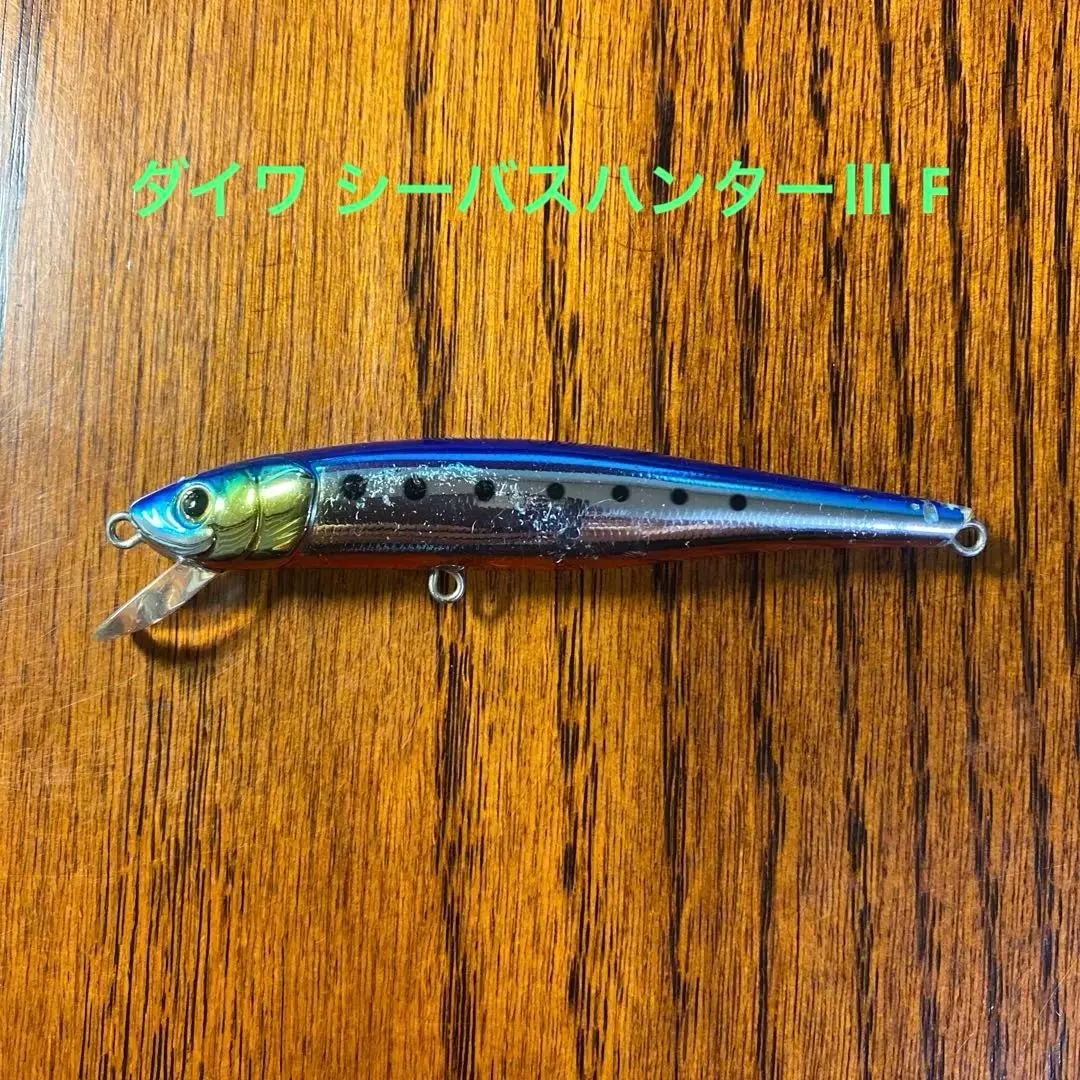 2026年最新】ダイワ シーバスハンターxの人気アイテム - メルカリ