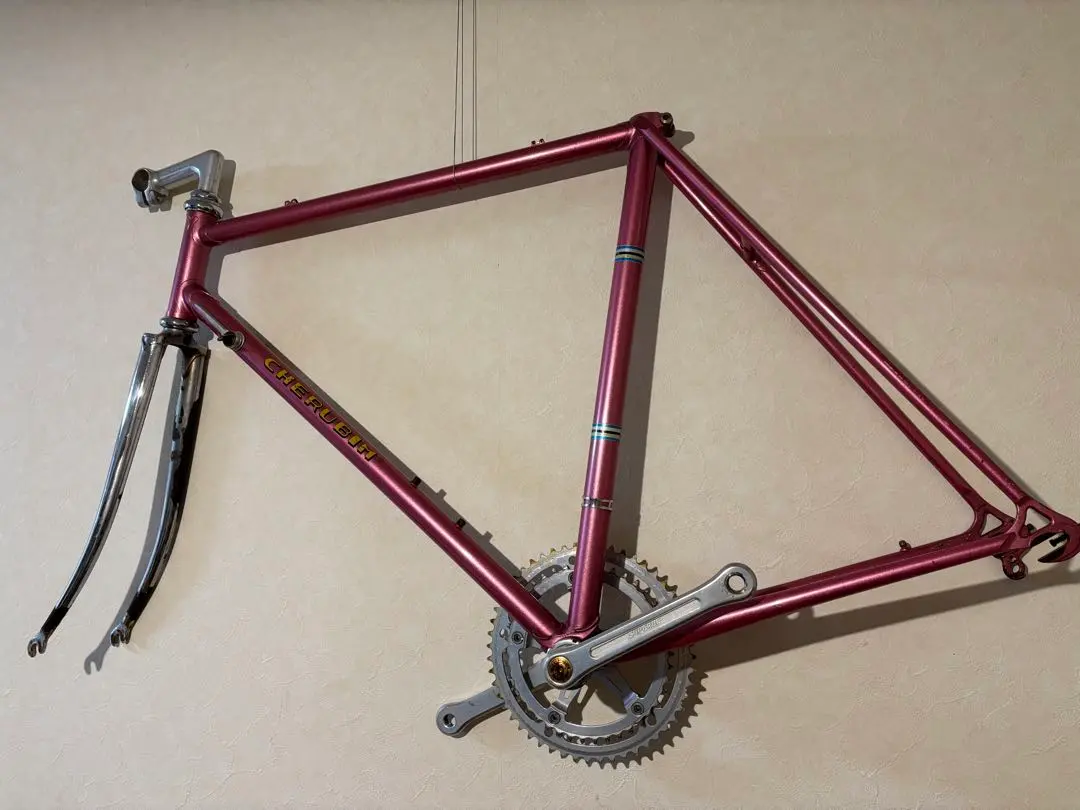 m12096613062_1.jpg?1765859658