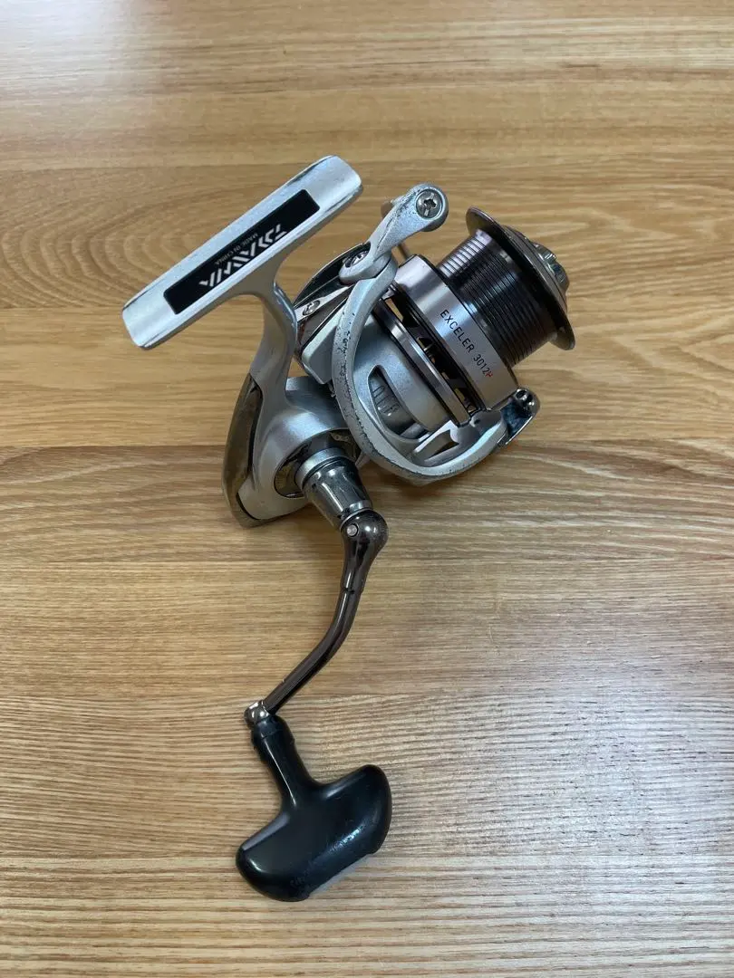 2026年最新】ダイワ エクセラー 3012hの人気アイテム - メルカリ
