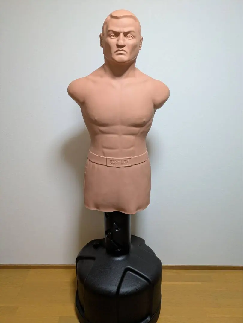 2026年最新】CENTURY サンドバッグの人気アイテム - メルカリ