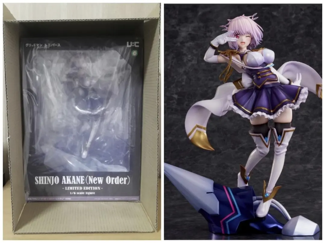 2026年最新】ユニオンクリエイティブ 新条アカネ(ニューオーダー)の