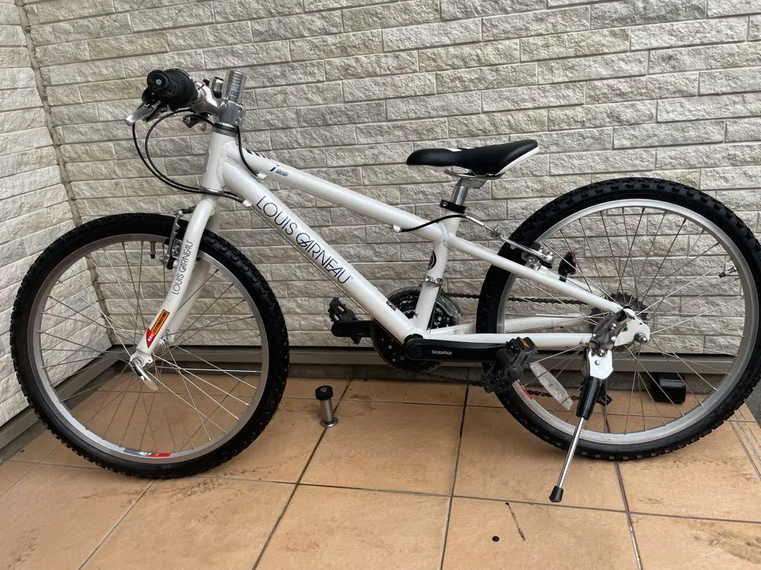 2026年最新】ルイガノ 22インチの人気アイテム - メルカリ