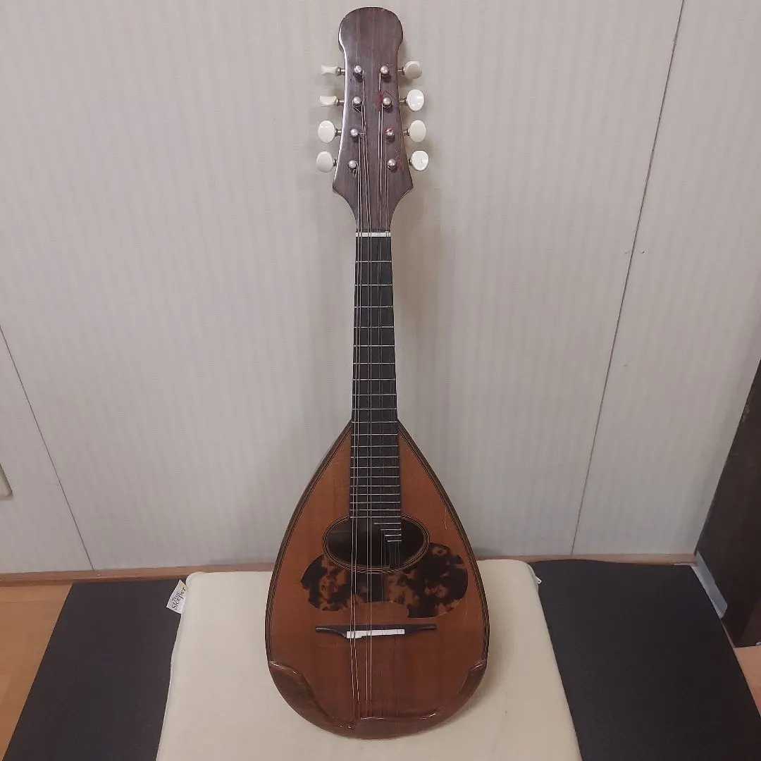 2026年最新】落合マンドリンの人気アイテム - メルカリ