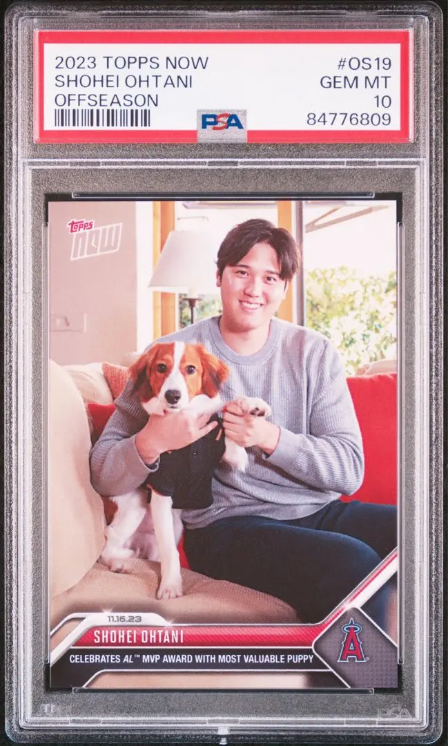 2026年最新】大谷翔平 デコピン psa10の人気アイテム - メルカリ