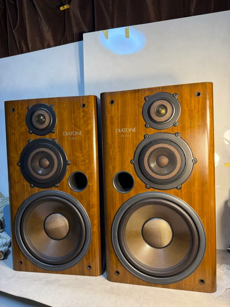 2026年最新】DS-600 DIATONEの人気アイテム - メルカリ