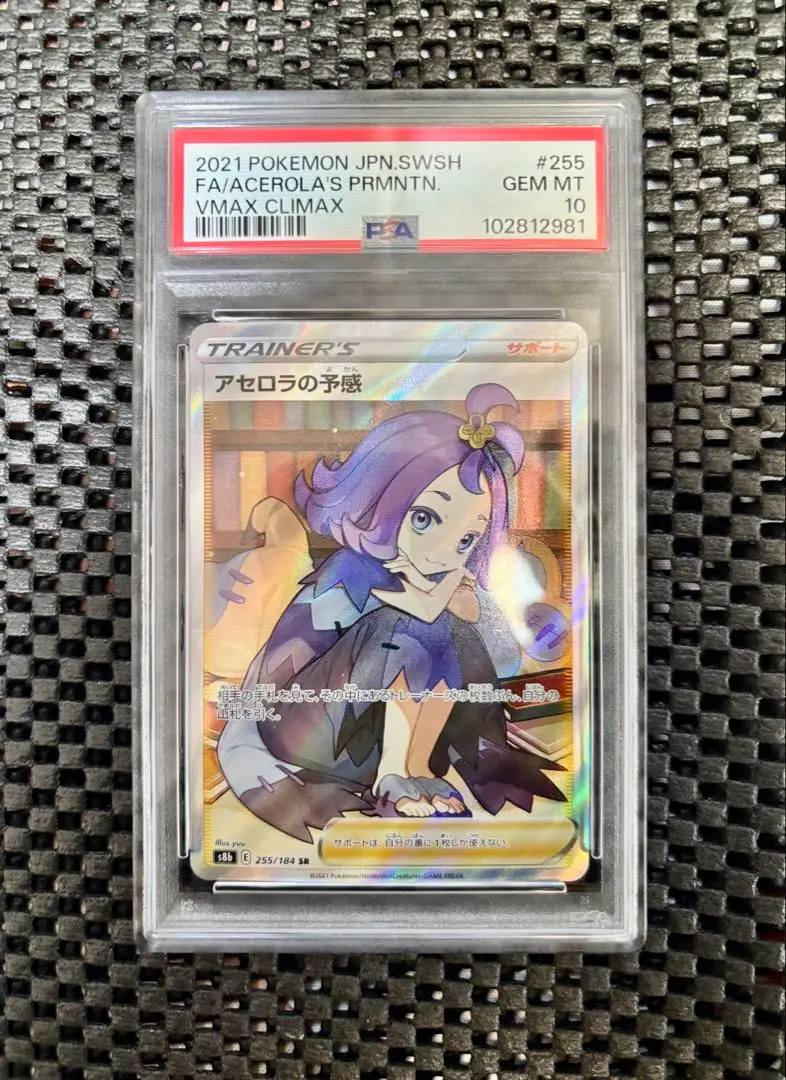 m17686332901_1.jpg?1771820870