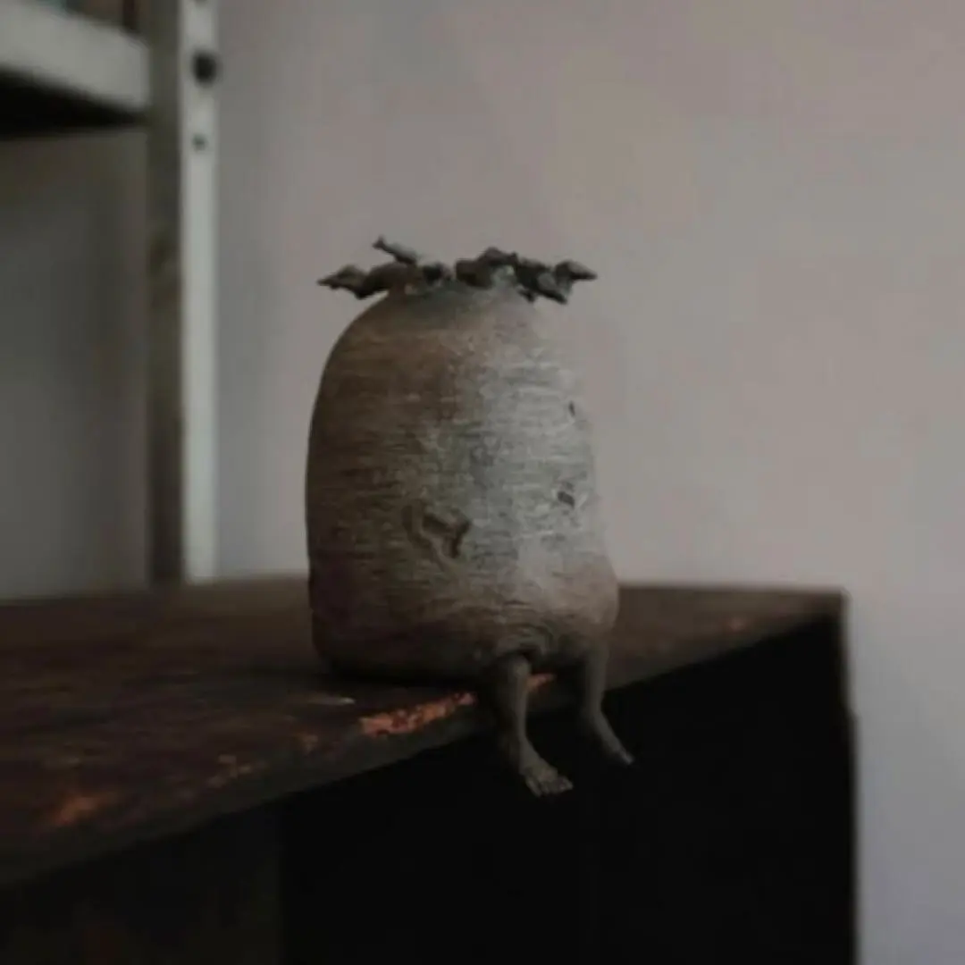 2026年最新】オズワート ozwrtの人気アイテム - メルカリ