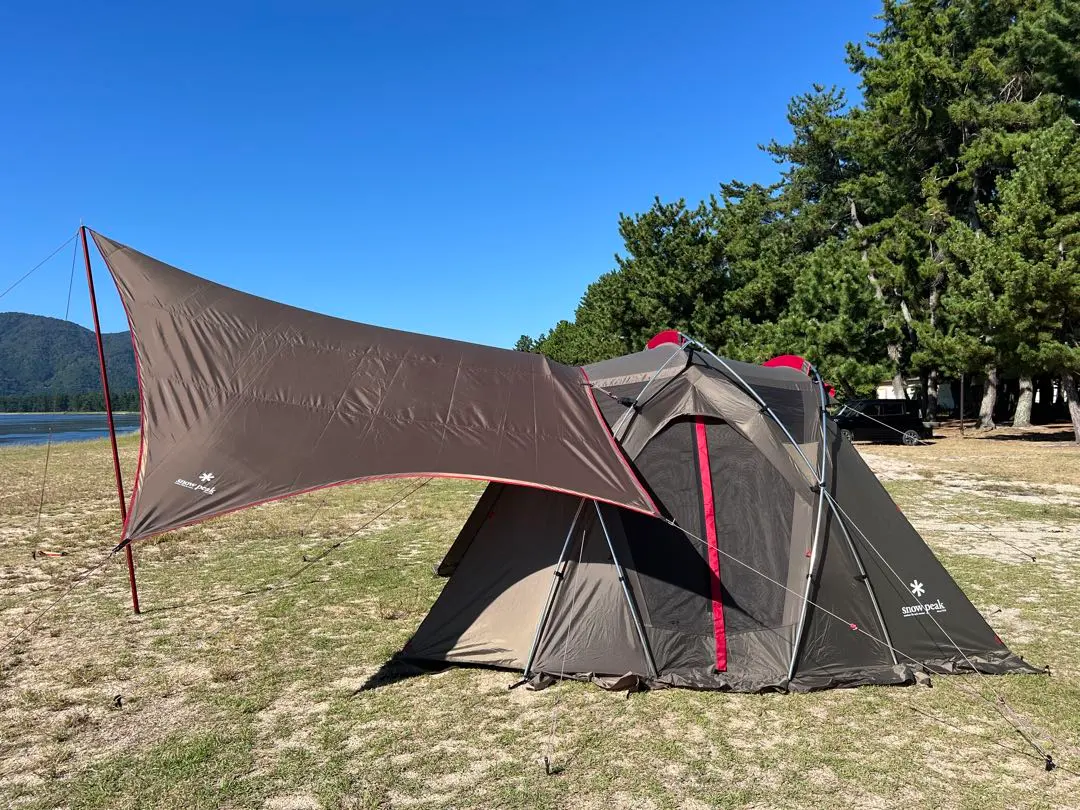 2026年最新】リビングシェルs proの人気アイテム - メルカリ