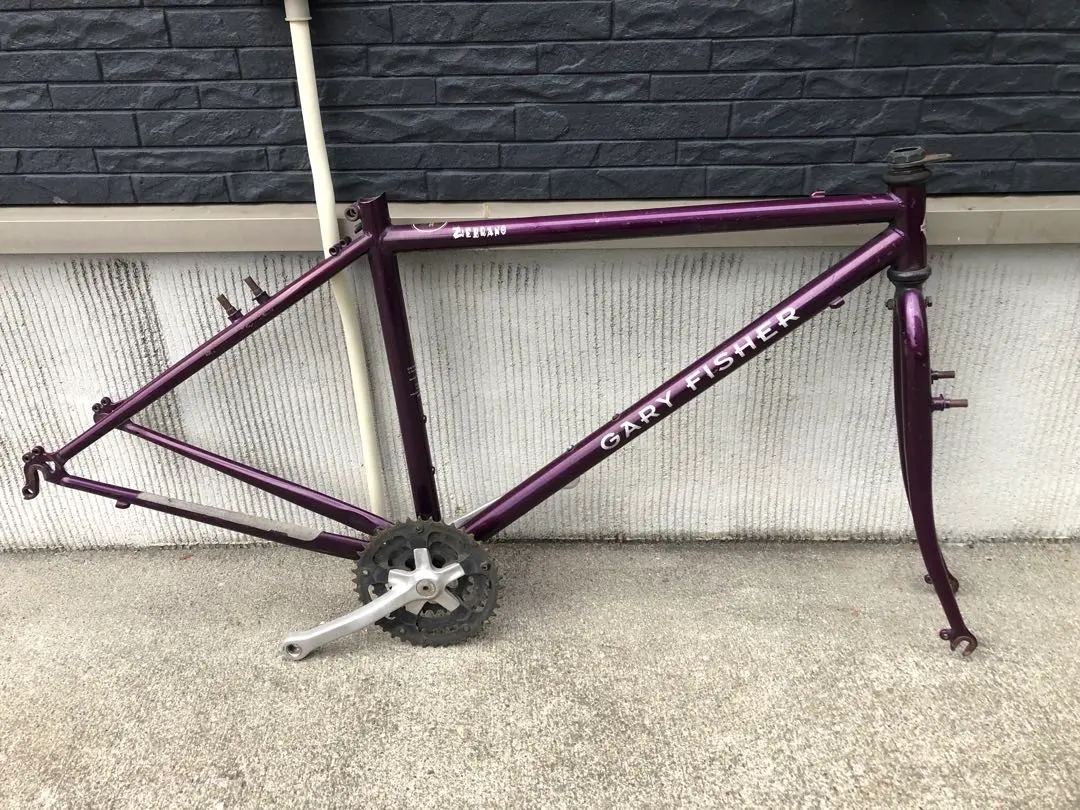 2026年最新】ゲイリーフィッシャーの人気アイテム - メルカリ