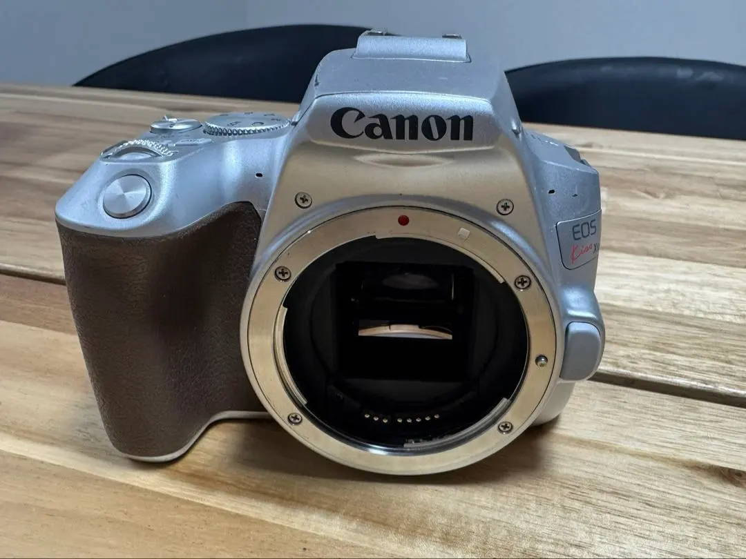 2026年最新】eos kiss x10 シルバーの人気アイテム - メルカリ