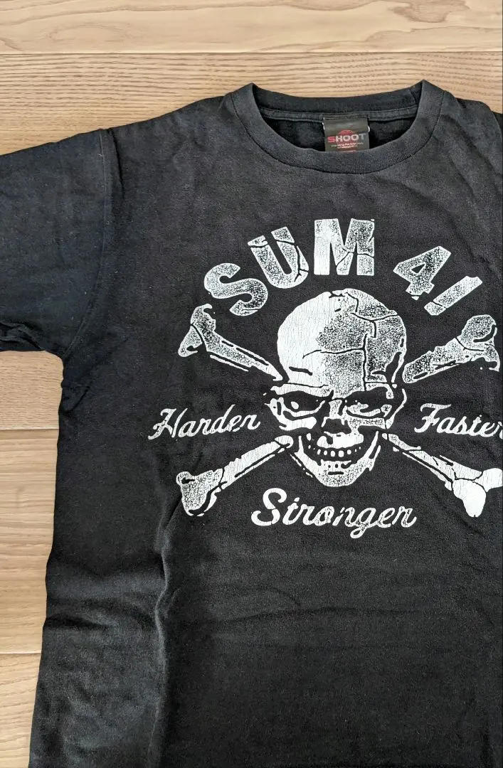2026年最新】sum41 ロンtの人気アイテム - メルカリ