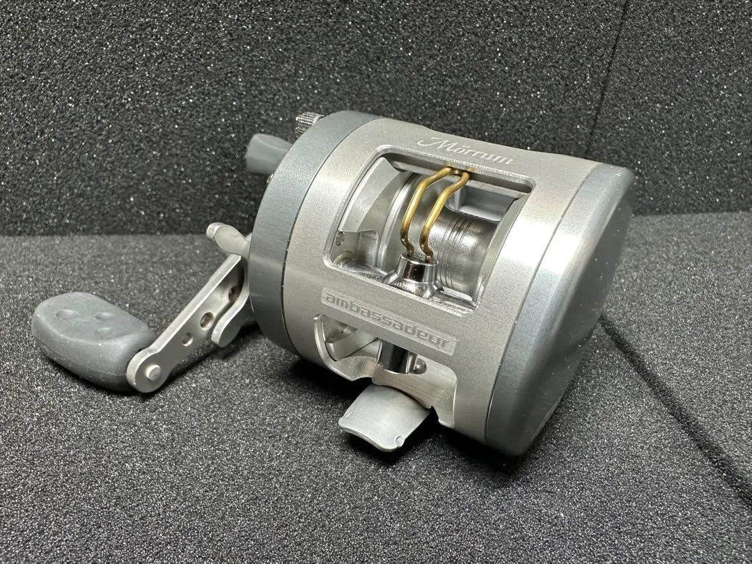 2026年最新】モラムsxの人気アイテム - メルカリ