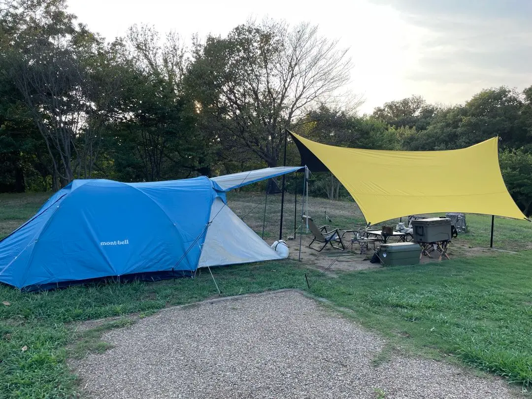 2026年最新】クロノスキャビン4の人気アイテム - メルカリ