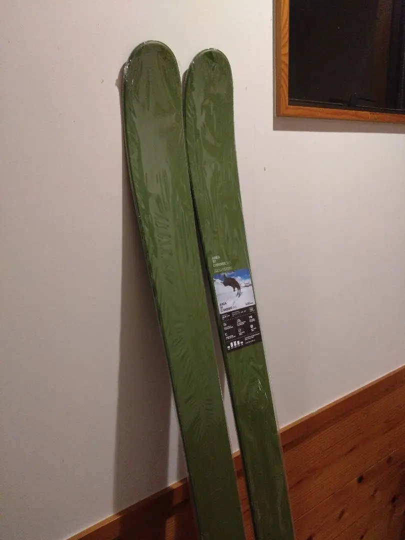 2026年最新】candide スキーの人気アイテム - メルカリ