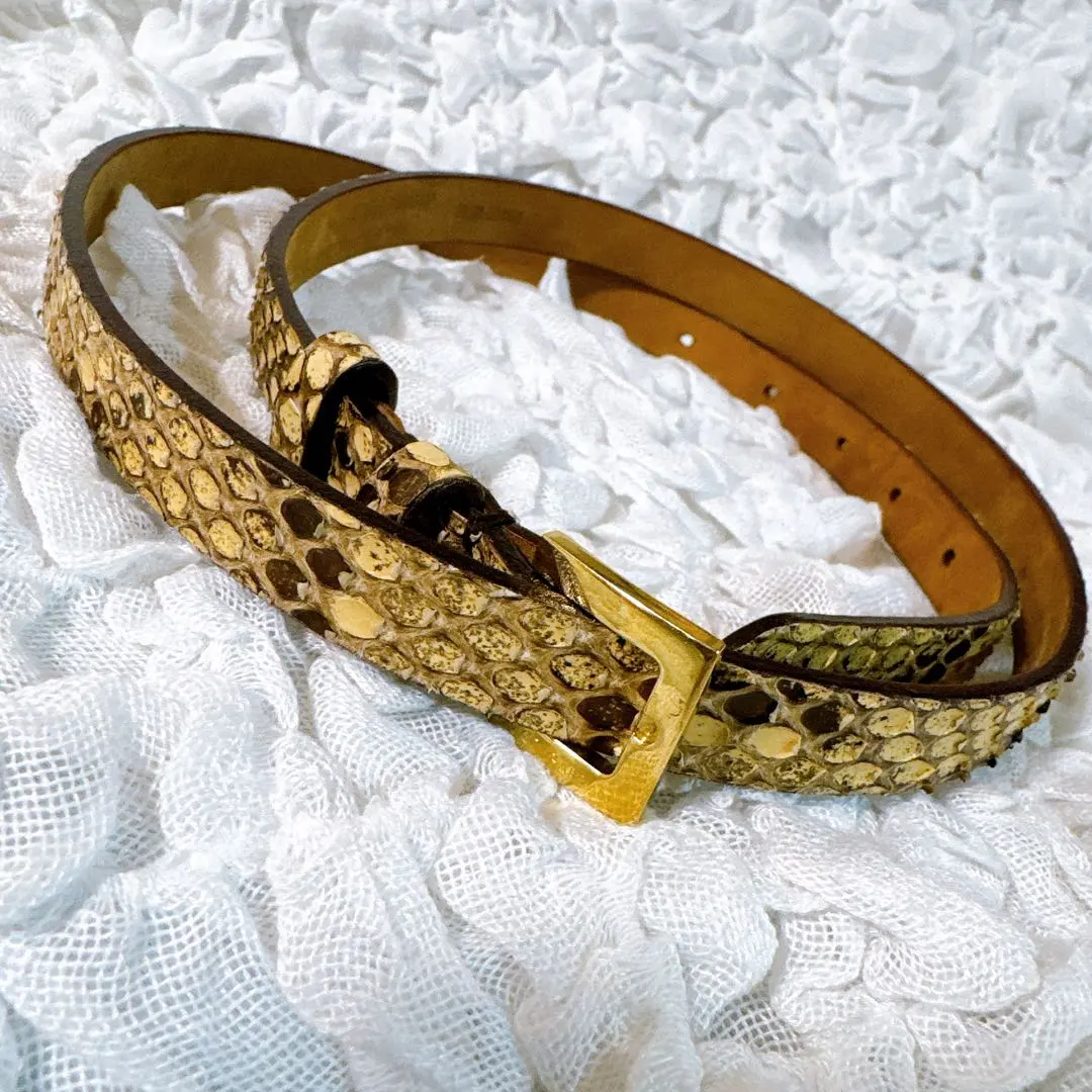 2026年最新】ドルガバ パイソン ベルトの人気アイテム - メルカリ