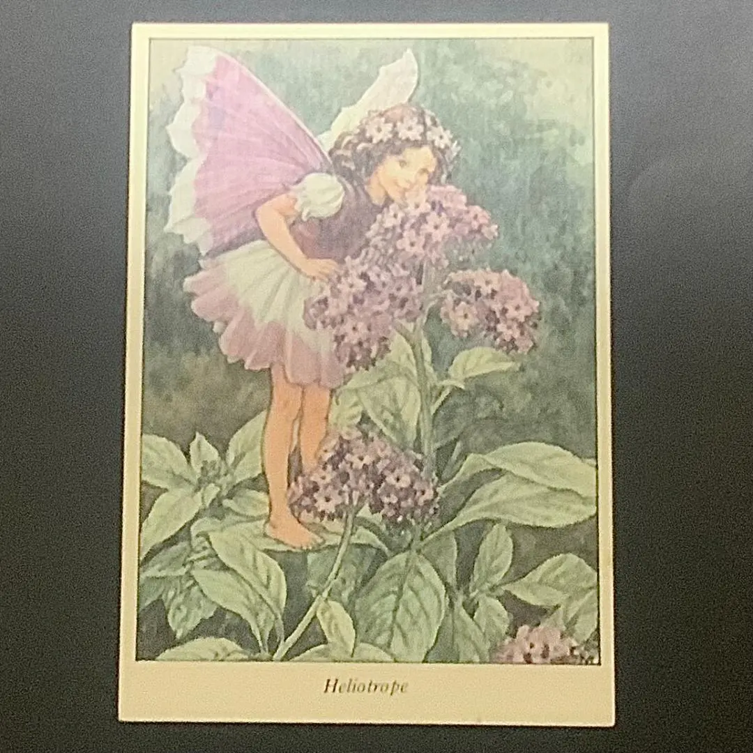 2026年最新】森永 フラワーフェアリーカードの人気アイテム - メルカリ