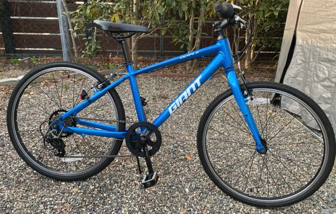 2026年最新】ジャイアント 24インチの人気アイテム - メルカリ