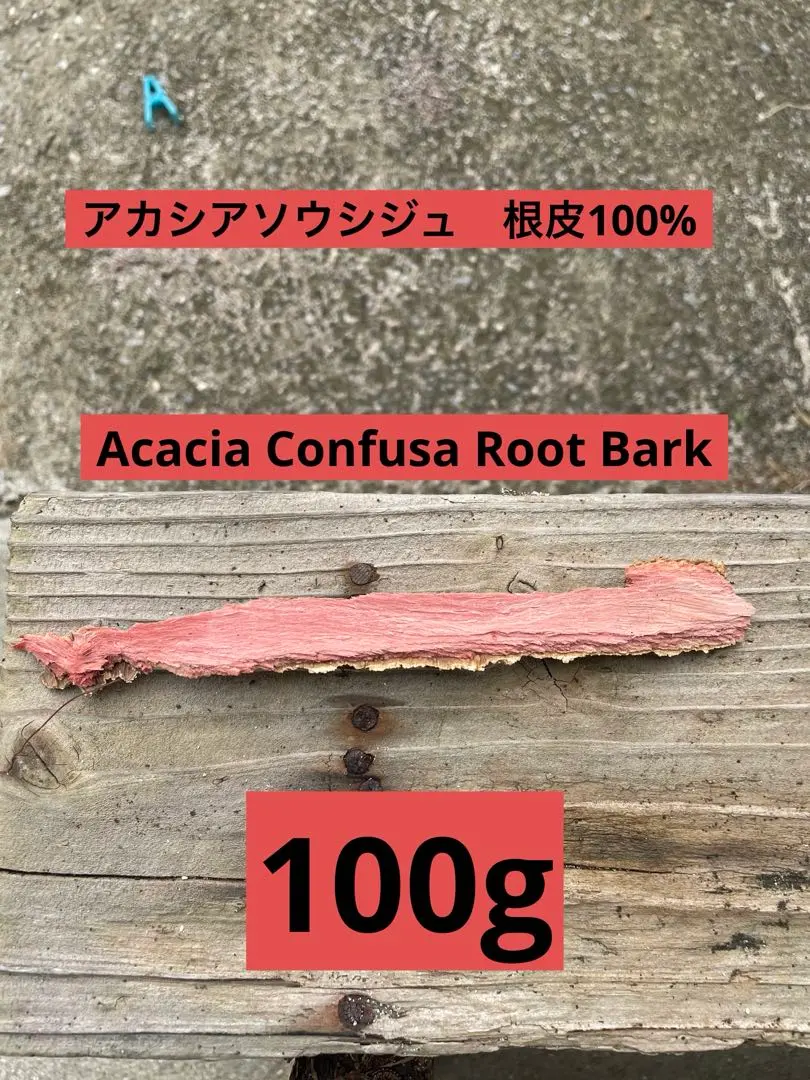 m21749553765_1.jpg?1770084184