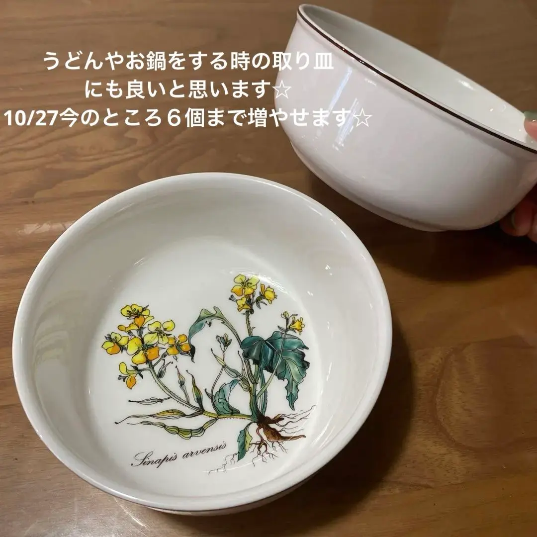 2026年最新】ビレロイボッホ ボタニカの人気アイテム - メルカリ