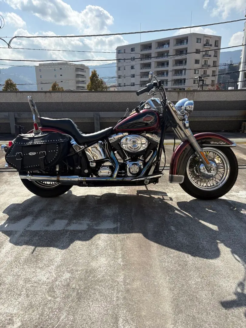 2026年最新】tc88 シートの人気アイテム - メルカリ