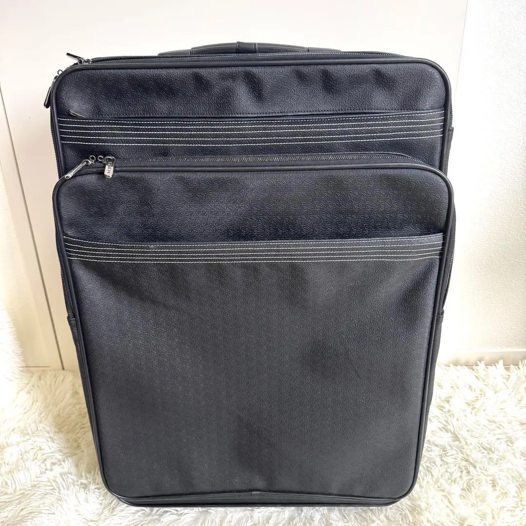 2026年最新】LOEWEスーツケースの人気アイテム - メルカリ