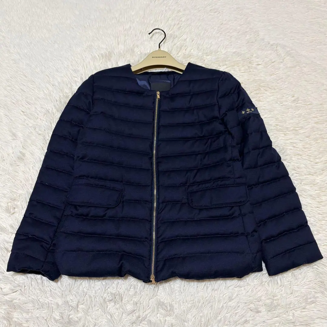 2026年最新】タトラス spinosaの人気アイテム - メルカリ