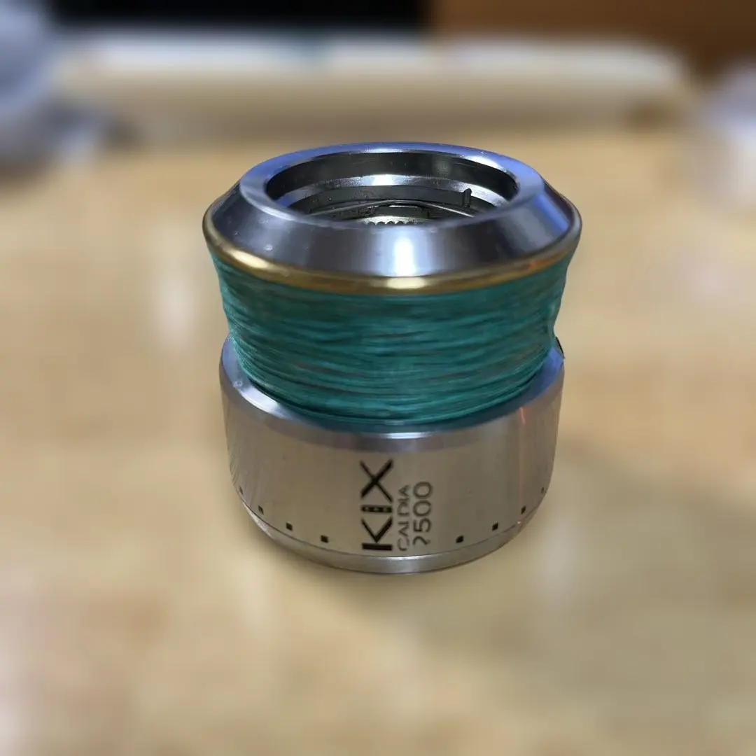 2026年最新】ダイワ カルディア kixの人気アイテム - メルカリ