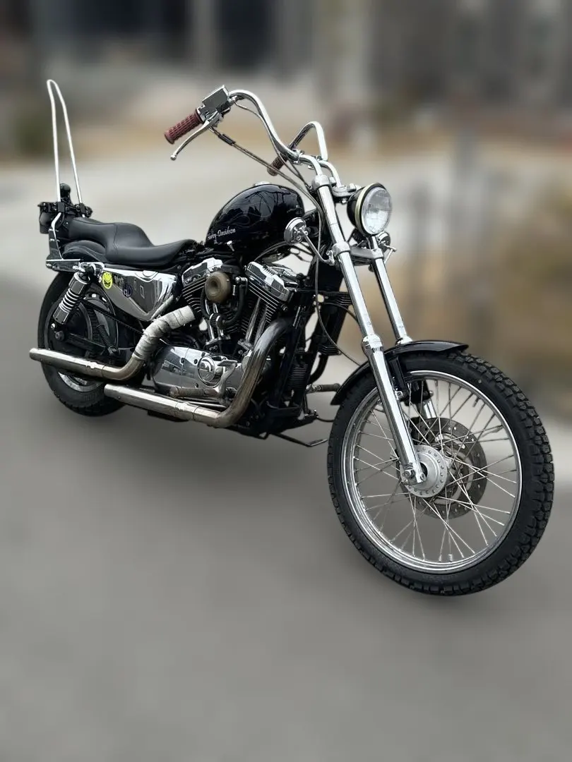 2026年最新】イージーライダース シート スポーツスターの人気アイテム